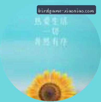 张敏