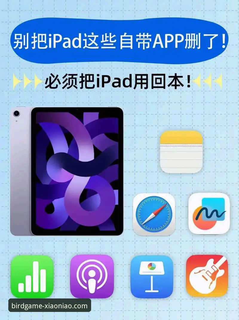 小鸟体育平台操作教程：从官网入口到APP下载使用的完整指南