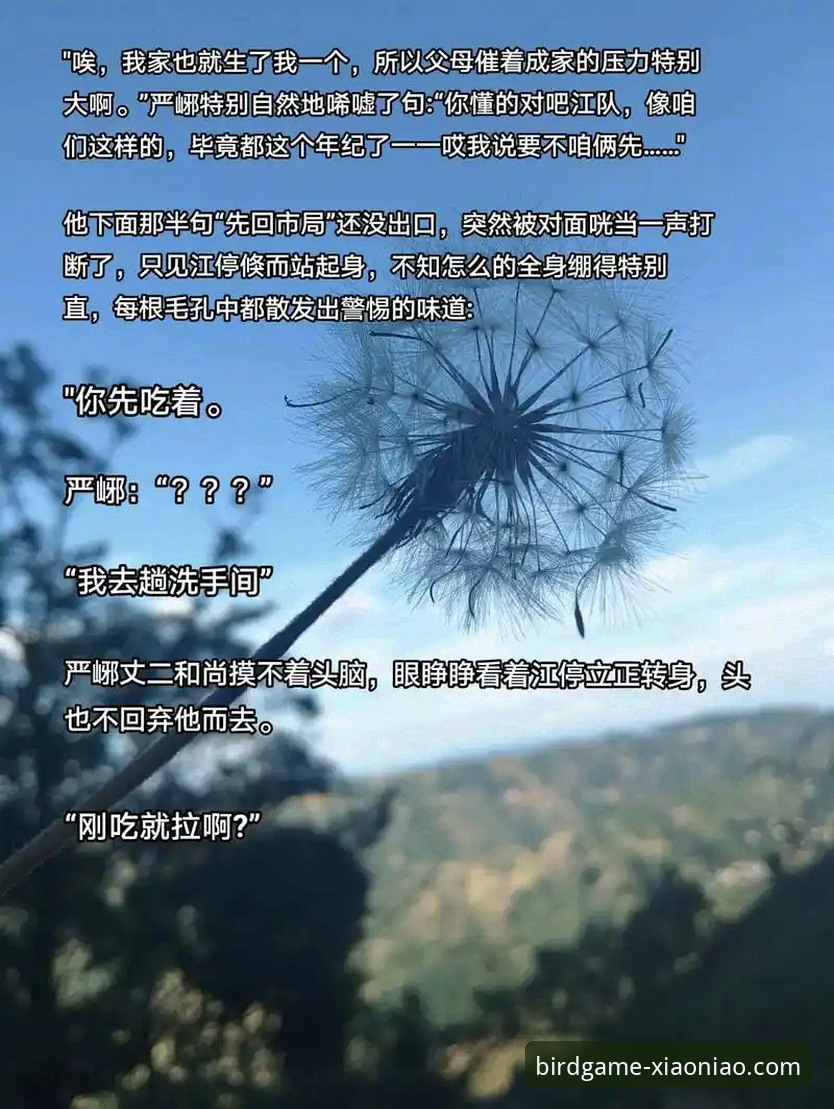 小鸟体育最新动态：5个解决卡顿闪退的实战技巧，让APP体验飞起来